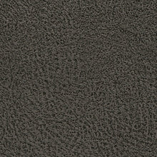 Load image into Gallery viewer, Navi  Sofa Sleeper
